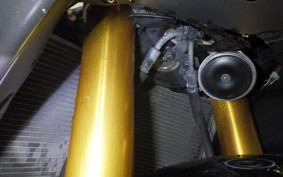 YAMAHA YZF-R1 2009 RN24J