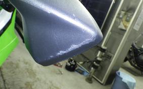 KAWASAKI NINJA ZX-6R A 2025 ZX636J