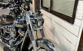 HARLEY FLSTFI 2025 BD9