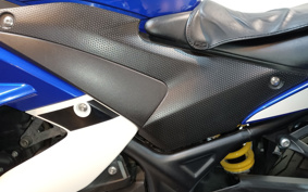 YAMAHA YZF-R25 RG10J