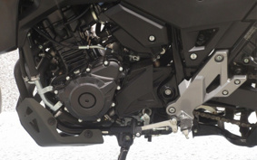 SUZUKI STROM 250ABS DS11A