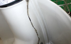 HONDA C50 SUPER CUB 2008 AA01