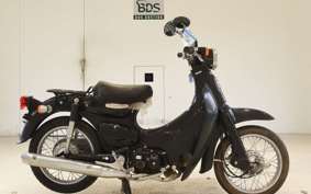 HONDA LITTLE CUB E AA01