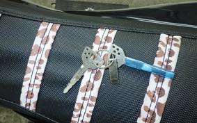 YAMAHA WR250X 2012 DG15J