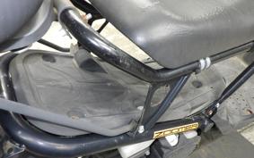 HONDA ZOOMER 2023 AF58