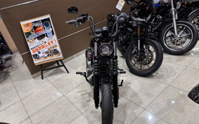 HARLEY FXBB 2025 YJ9