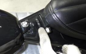 OTHER +UNREGISTERED MODEL by BDS250