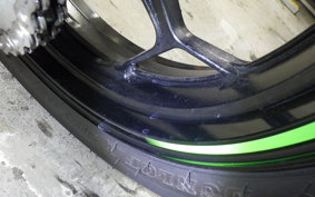 KAWASAKI NINJA 250 ABS 2024 EX250L