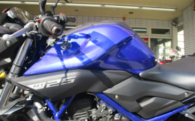 YAMAHA MT-25 RG43J