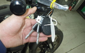 HARLEY FXLRS1920 2022