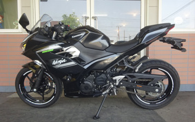 KAWASAKI Ninja 250 ABS EX250P