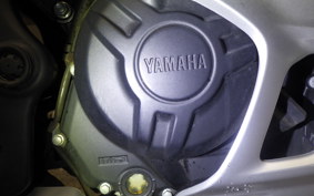YAMAHA YZF-R25 1994 RG43J