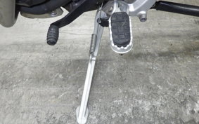 TRIUMPH TIGER 900 GT PRO 2024