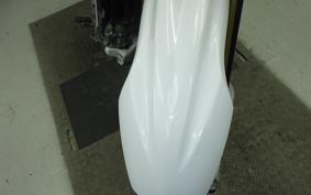 YAMAHA WR250R 2024 DG15J