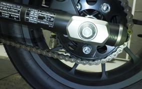 HONDA REBEL 250 E-Clutch 2025 MC49