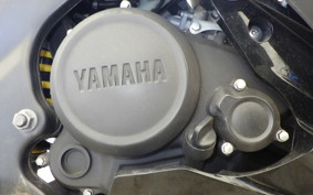 YAMAHA YZF-R15