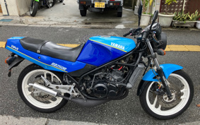 YAMAHA RZ250R 29L