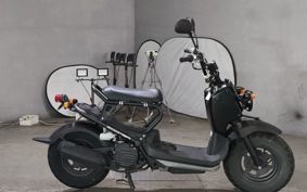 HONDA ZUMAR AF58