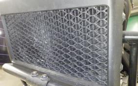 HONDA REBEL 250 2006 MC49