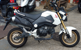HONDA GROM JC61