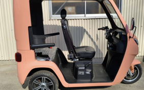 OTHER VEHICLE FUN EVTUKTUK ...