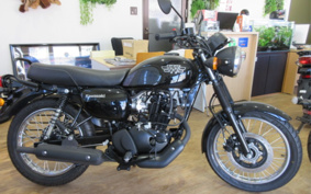 KAWASAKI W175 BJHD1B