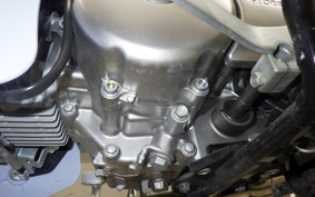 HONDA C125 SUPER CUB 2024 JA48