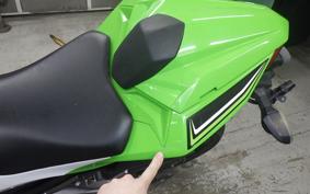 KAWASAKI NINJA 250 2009 EX250L