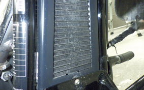 HARLEY FLSB 1750 2018