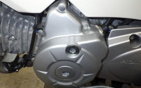 HONDA CROSS CUB 110 2019 JA45