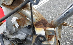 HONDA MONKEY 2010 Z50J