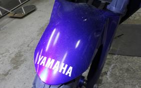 YAMAHA YZF-R25 2024 RG10J