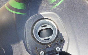 KAWASAKI W175