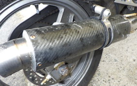 KAWASAKI ZZ-R250 EX250H