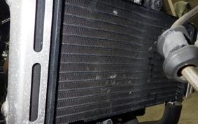 HONDA HORNET 250 MC31