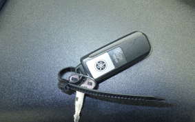 YAMAHA MT-09 SP 2024 RN87J