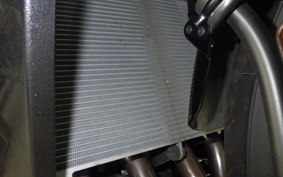 KAWASAKI NJNJA1100SX 2025 ZXT10H