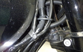 KAWASAKI W800-2ｽﾄﾘｰﾄ 2022 EJ800E