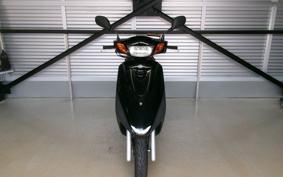 YAMAHA AKUSHI STREET SE53J