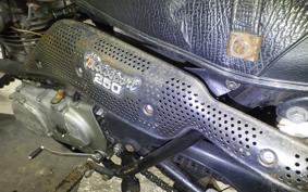 HONDA SL250S 2020 SL250S