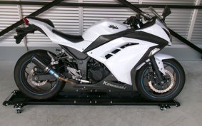 KAWASAKI NINJA 250 EX250L