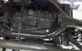 KAWASAKI 250TR 1994 BJ250F