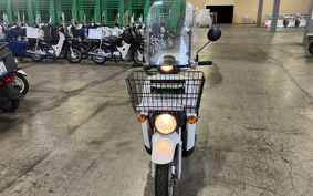 HONDA  BENLY  PRO  AA05