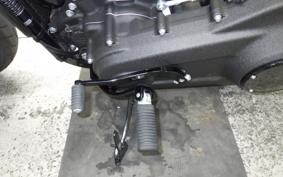 HARLEY FXLRST1920 2025