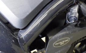 HONDA REBEL 1100 DCT 2023 SC83