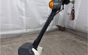 HONDA ZOOK AF26