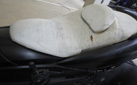 OTHER +UNREGISTERED MODEL by BDS TRIKE200