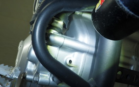 KAWASAKI KLX250D TRACKER X 2017 LX250V