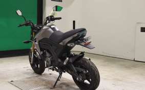 KAWASAKI Z125 PRO 2009 BR125H