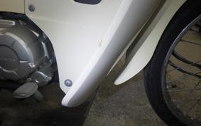 HONDA C110 SUPER CUB 1997 JA44